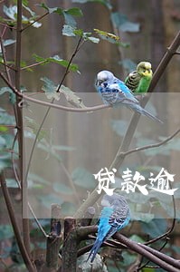 贷款逾期30天是m几 贷款逾期30天是m几