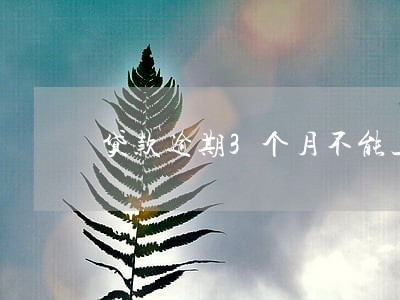 贷款逾期3个月不能上飞机吗 贷款逾期3个月不能上飞机吗