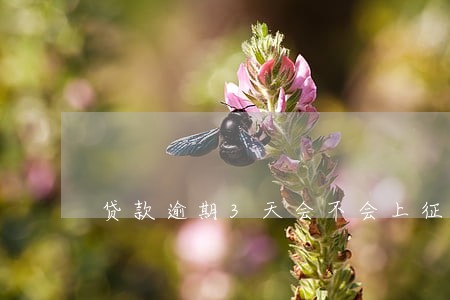贷款逾期3天会不会上征信 贷款逾期3天会不会上征信