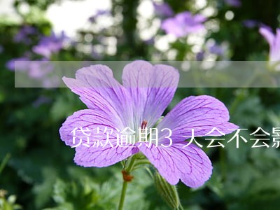 贷款逾期3天会不会影响征信 贷款逾期3天会不会影响征信