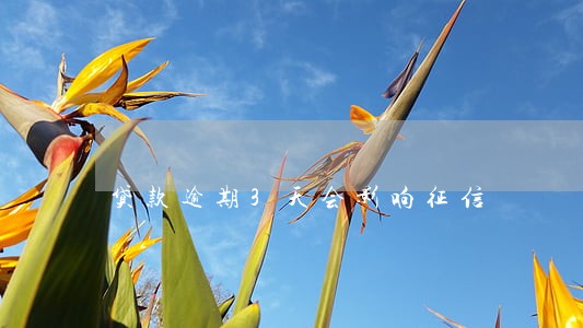 贷款逾期3天会影响征信 贷款逾期3天会影响征信