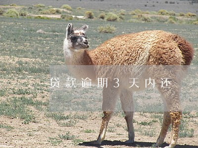 贷款逾期3天内还 贷款逾期3天内还