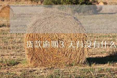 贷款逾期3天有没有什么影响 贷款逾期3天有没有什么影响