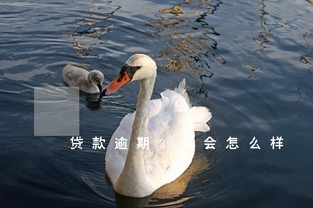 贷款逾期3月会怎么样 贷款逾期3月会怎么样