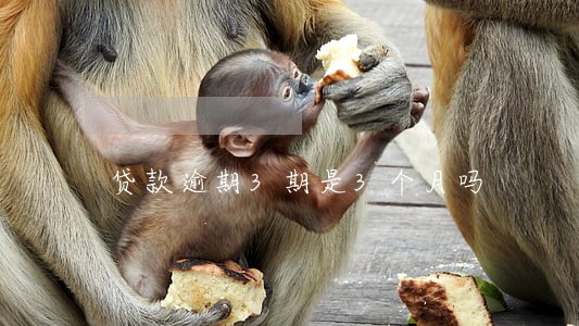 贷款逾期3期是3个月吗 贷款逾期3期是3个月吗