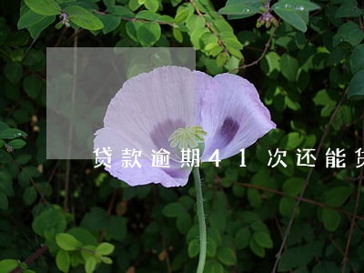 贷款逾期41次还能贷款吗 贷款逾期41次还能贷款吗