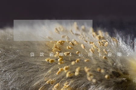 贷款逾期4信用卡逾期2