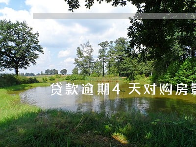 贷款逾期4天对购房影响 贷款逾期4天对购房影响