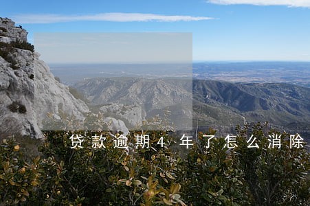 贷款逾期4年了怎么消除