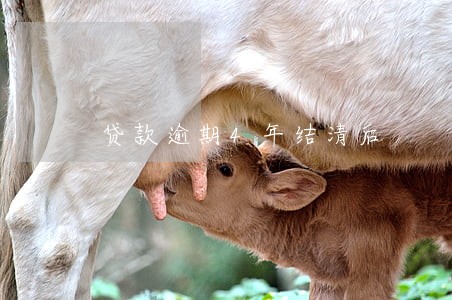 贷款逾期4年结清后