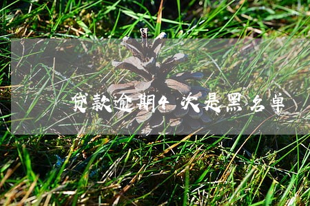 贷款逾期4次是黑名单 贷款逾期4次是黑名单