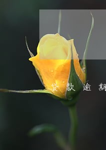 贷款逾期51什么意思 贷款逾期51什么意思