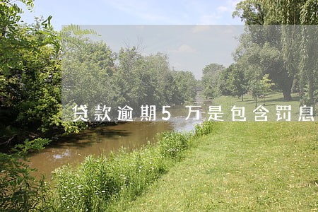 贷款逾期5万是包含罚息么 贷款逾期5万是包含罚息么