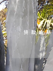 贷款逾期5万滞纳金是多少 贷款逾期5万滞纳金是多少
