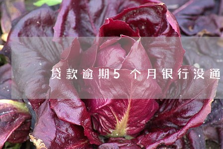 贷款逾期5个月银行没通知 贷款逾期5个月银行没通知