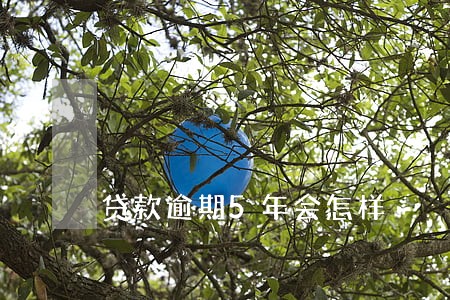 贷款逾期5年会怎样 贷款逾期5年会怎样