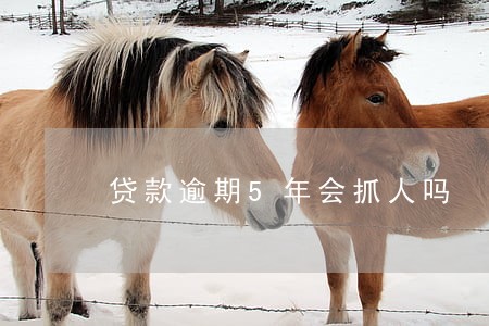 贷款逾期5年会抓人吗 贷款逾期5年会抓人吗