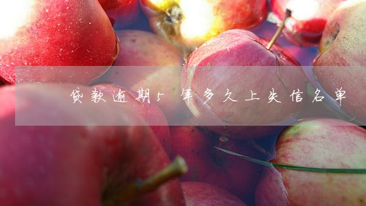贷款逾期5年多久上失信名单 贷款逾期5年多久上失信名单