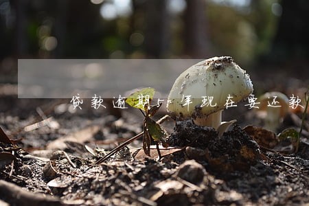 贷款逾期5年现在要还款 贷款逾期5年现在要还款