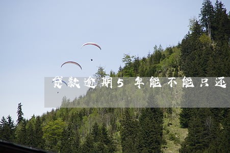 贷款逾期5年能不能只还本金 贷款逾期5年能不能只还本金
