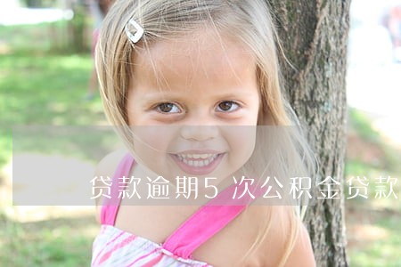 贷款逾期5次公积金贷款 贷款逾期5次公积金贷款