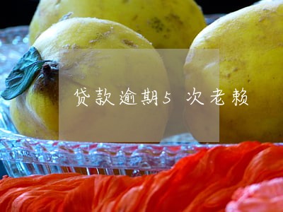 贷款逾期5次老赖 贷款逾期5次老赖
