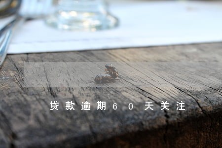 贷款逾期60天关注 贷款逾期60天关注