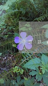 贷款逾期60天的后果 贷款逾期60天的后果
