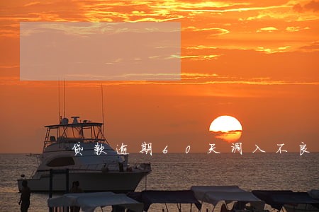 贷款逾期60天调入不良
