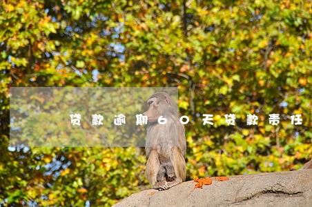 贷款逾期60天贷款责任认定 贷款逾期60天贷款责任认定