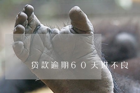 贷款逾期60天进不良 贷款逾期60天进不良
