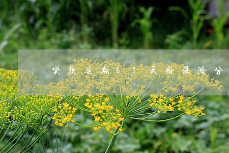 贷款逾期61天份保险分类 贷款逾期61天份保险分类
