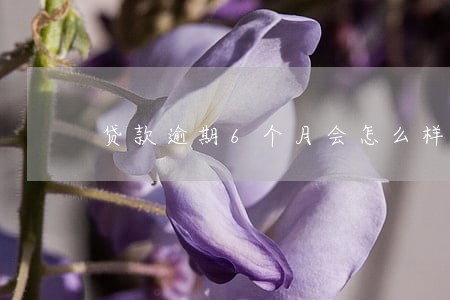 贷款逾期6个月会怎么样 贷款逾期6个月会怎么样