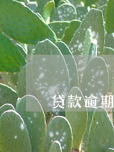 贷款逾期6个月算失信人员吗