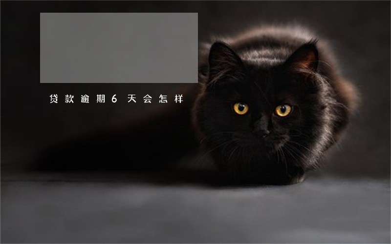 贷款逾期6天会怎样 贷款逾期6天会怎样