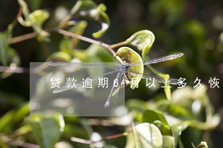 贷款逾期6月以上多久恢复 贷款逾期6月以上多久恢复