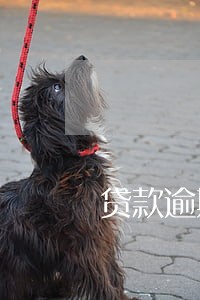 贷款逾期6次和逾期账户10次 贷款逾期6次和逾期账户10次