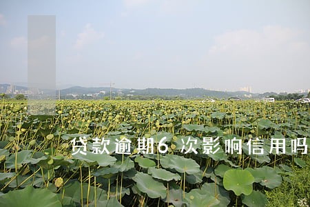 贷款逾期6次影响信用吗 贷款逾期6次影响信用吗