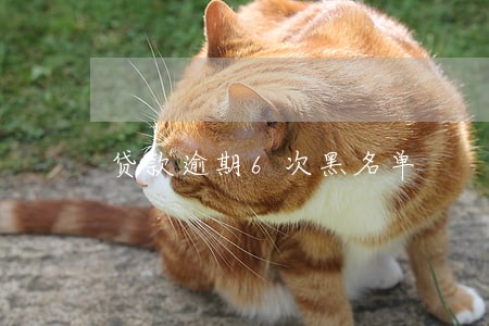 贷款逾期6次黑名单
