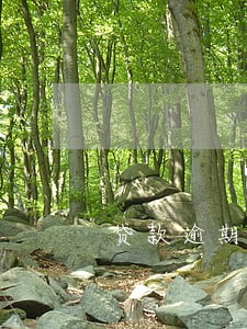 贷款逾期72小时