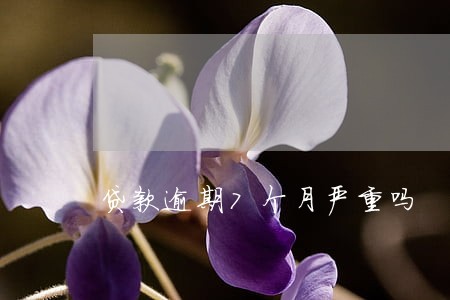 贷款逾期7个月严重吗 贷款逾期7个月严重吗