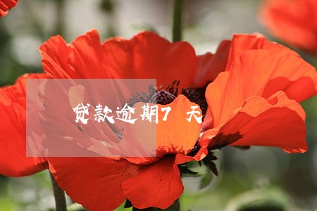 贷款逾期7天 贷款逾期7天