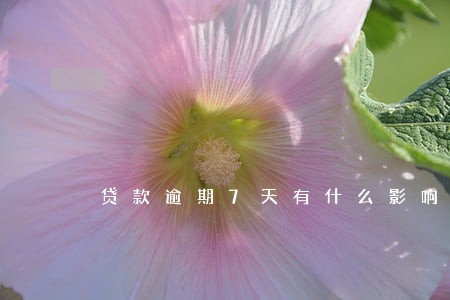贷款逾期7天有什么影响 贷款逾期7天有什么影响