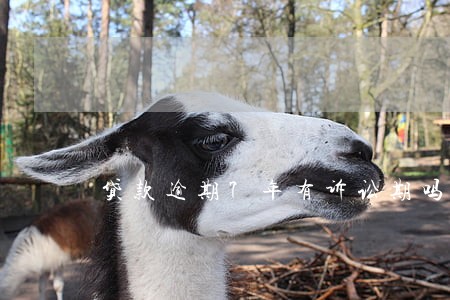 贷款逾期7年有诉讼期吗 贷款逾期7年有诉讼期吗