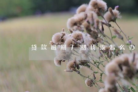 贷款逾期7期我该怎么办