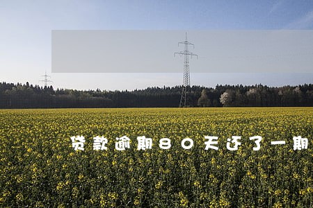 贷款逾期80天还了一期 贷款逾期80天还了一期