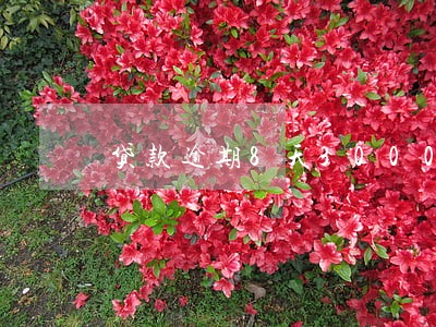 贷款逾期8天3000违约金 贷款逾期8天3000违约金
