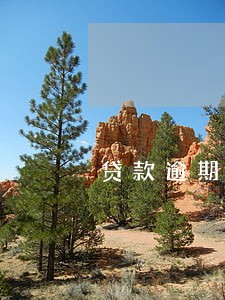 贷款逾期8小时 贷款逾期8小时