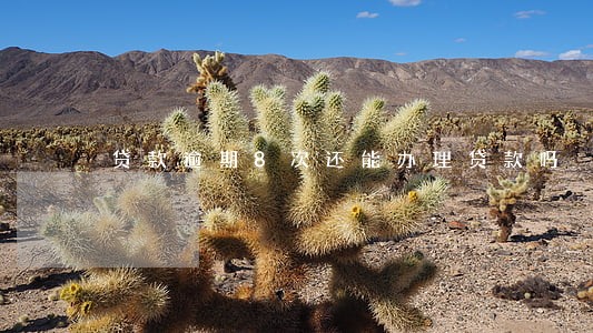 贷款逾期8次还能办理贷款吗 贷款逾期8次还能办理贷款吗