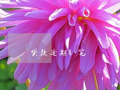 贷款逾期8笔 贷款逾期8笔